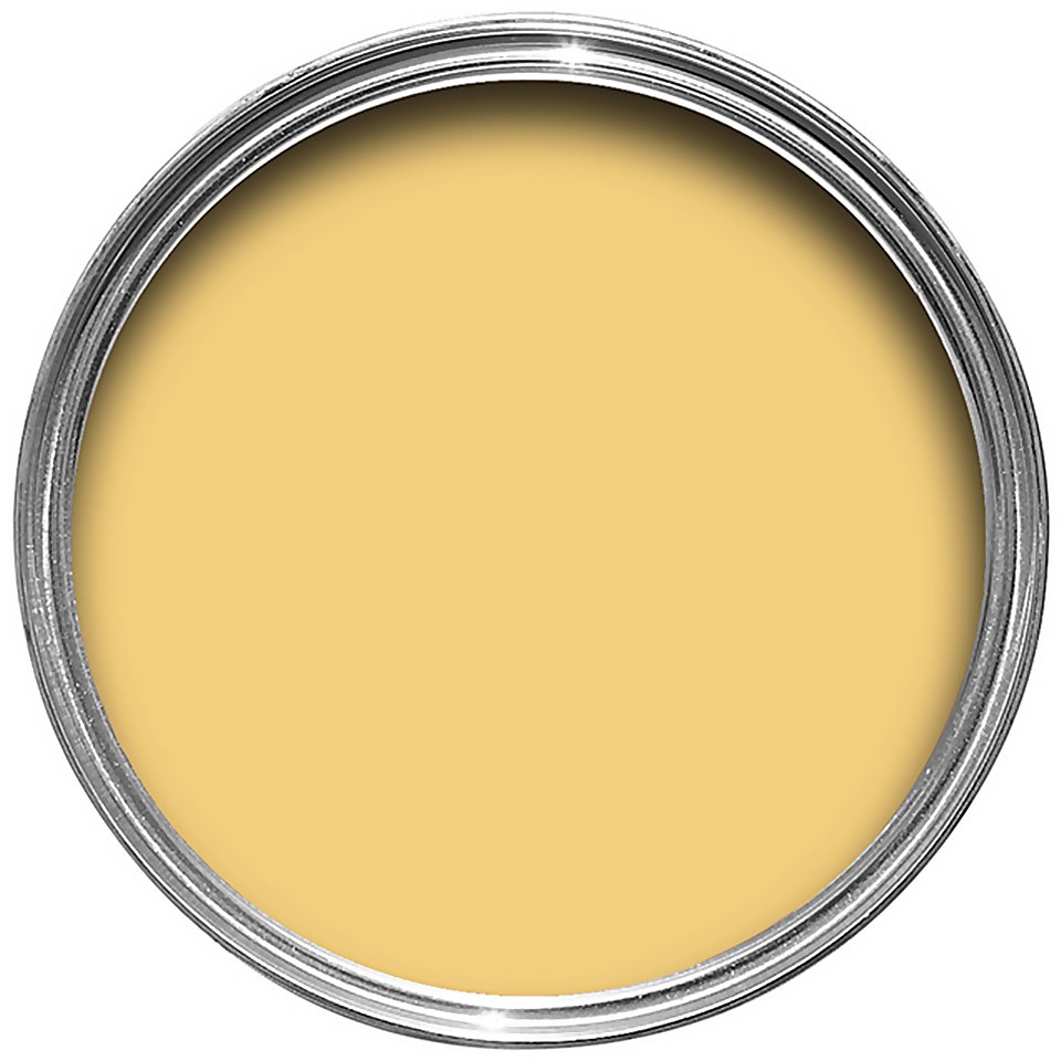 Farrow & Ball Exterior Eggshell Paint Citron No.74 - 750ml