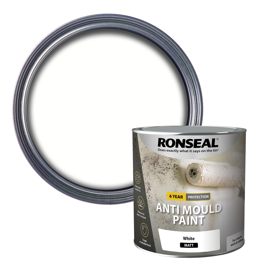 Ronseal Anti Mould Paint - 2.5L White Matt