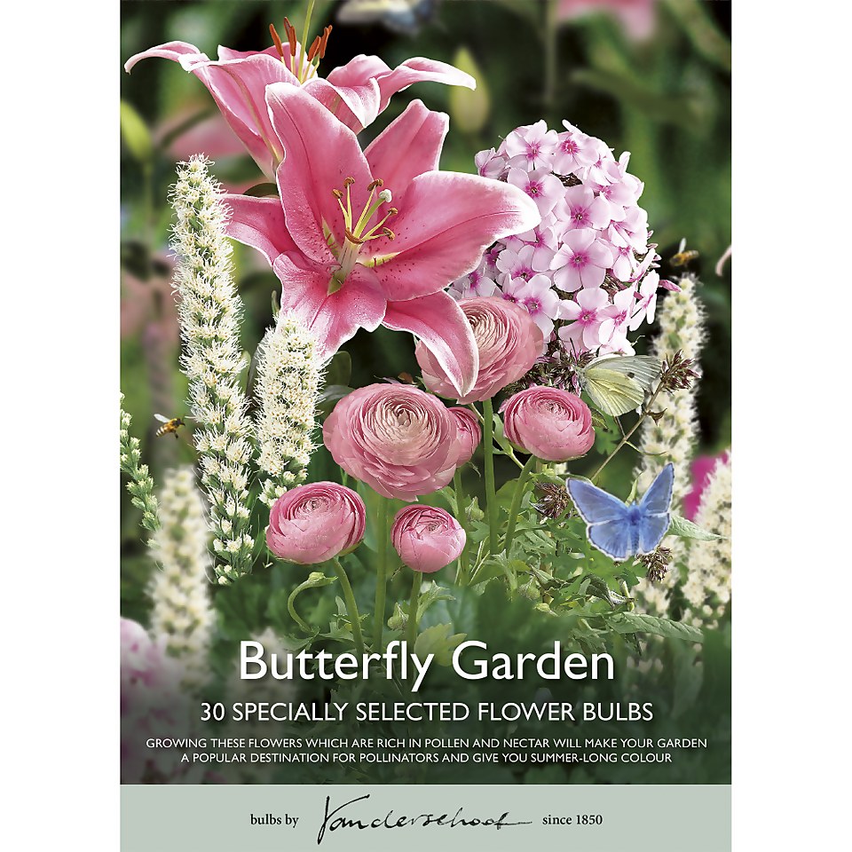 Butterfly Garden Collection Spring Bulbs