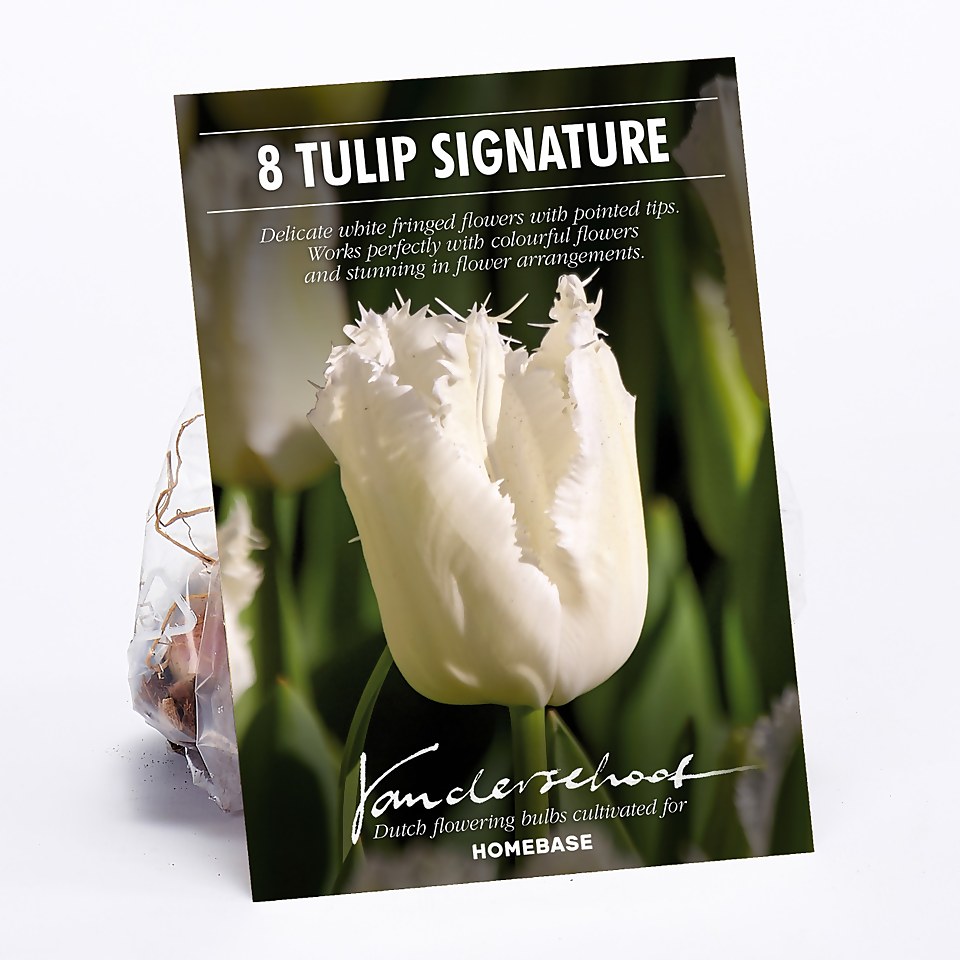 Tulip Signature