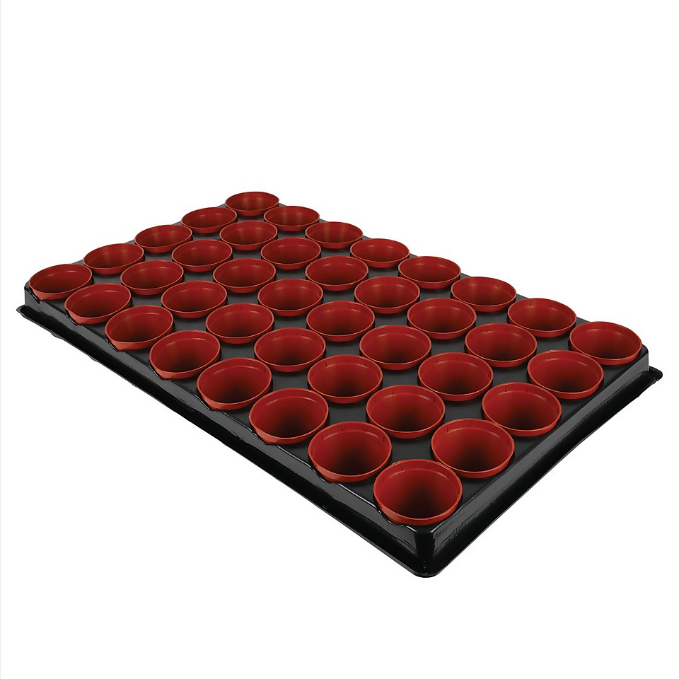 Seed And Cutting Tray - 40 Pots