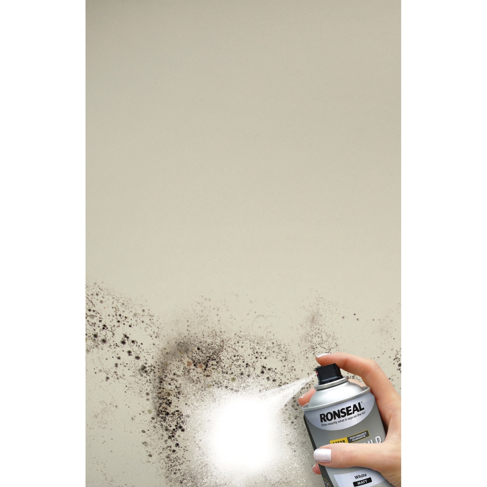 Ronseal Quick Drying Anti Mould Paint White Matt Aero 400ml Homebase