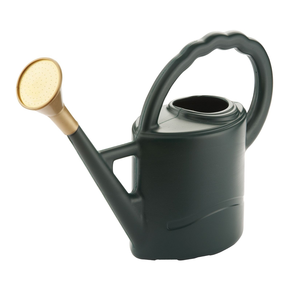 Woodstock Watering Can, Green - 2L