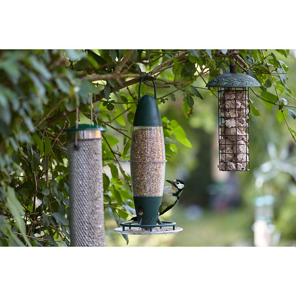 Peckish 3 Port Seed & Nyjer Feeder for Wild Birds - Green