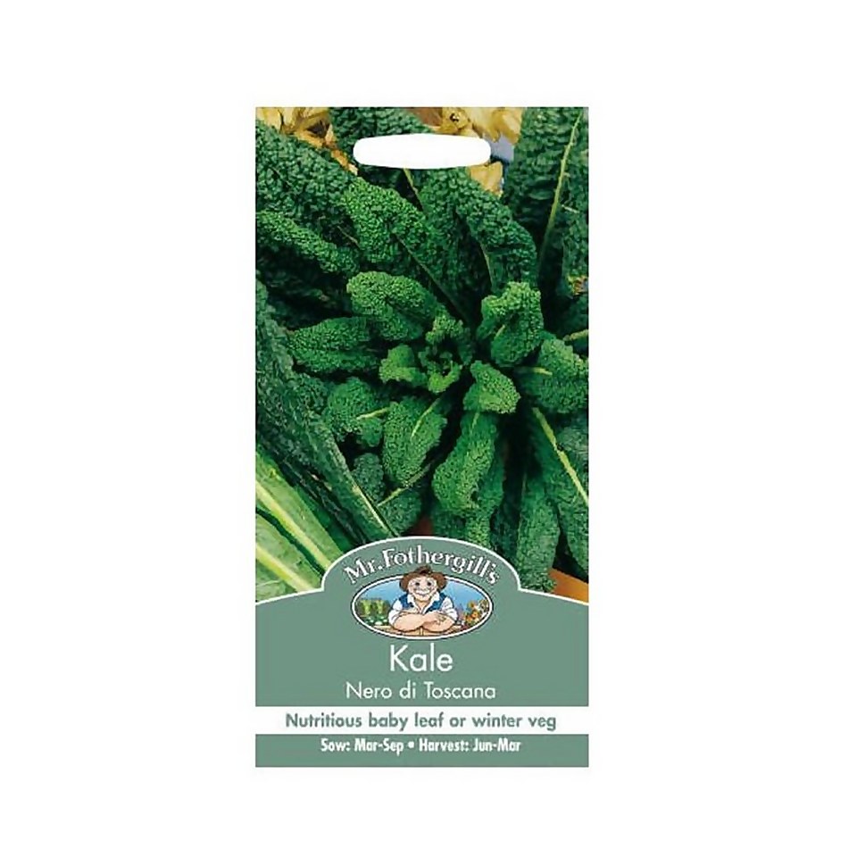 Mr. Fothergill's Kale Nero Di Toscana Vegetable Seeds