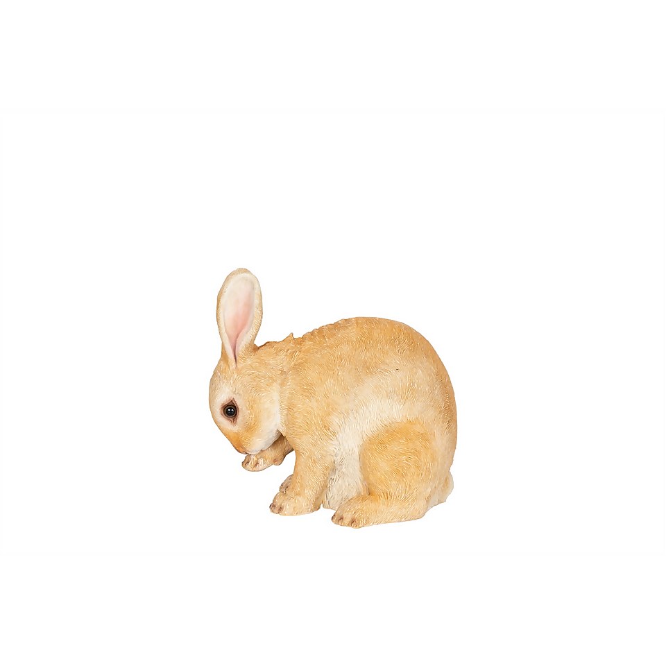 Resin Rabbit