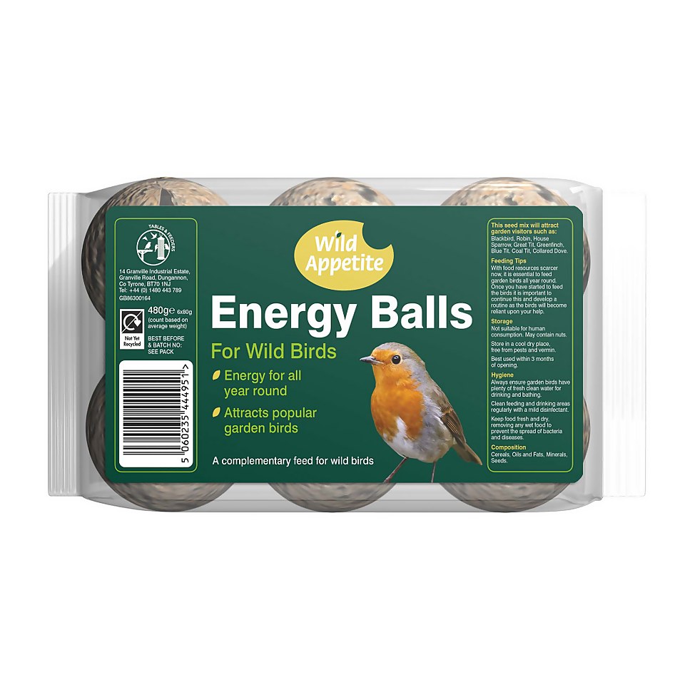 Wild Appetite Energy Balls for Wild Birds - Pack of 6