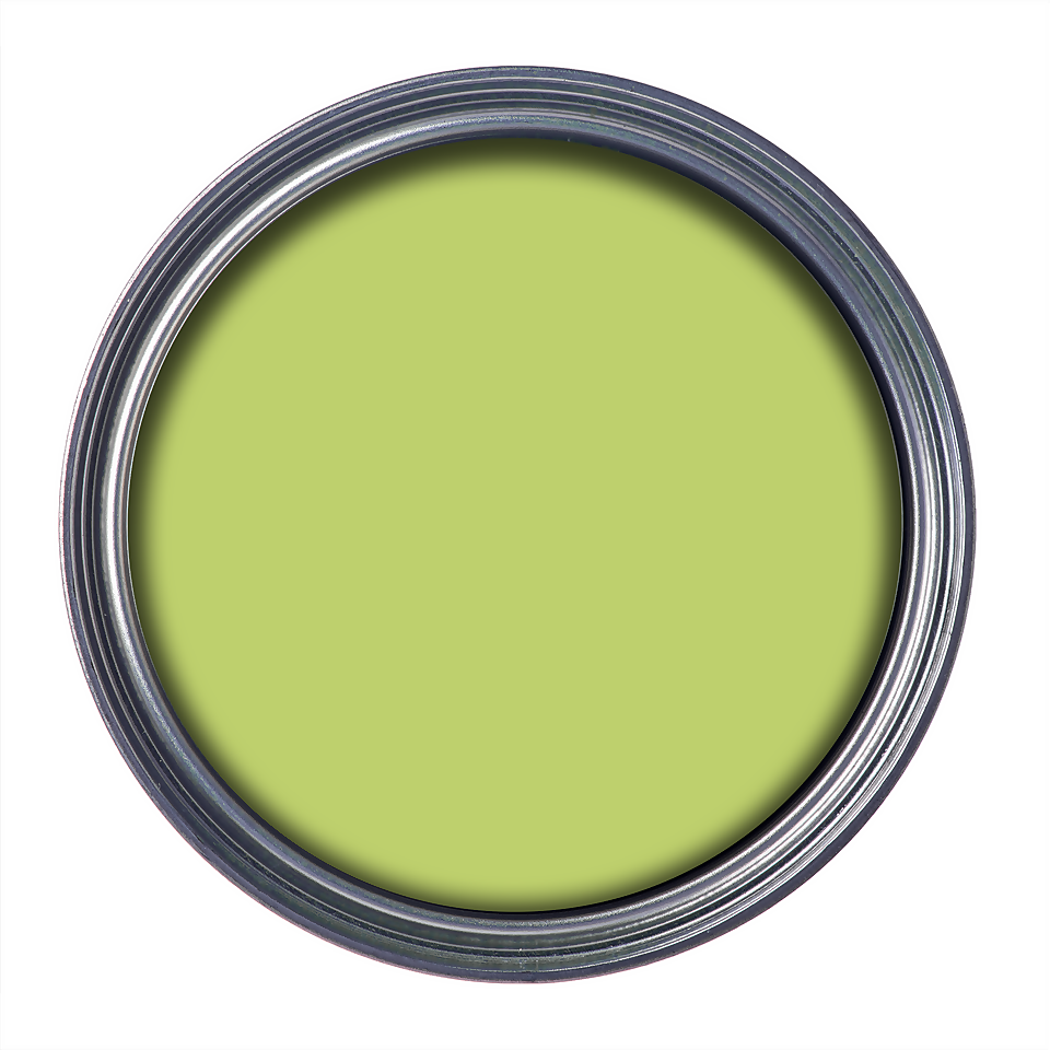 Ronseal Garden Paint Lime Zest - 250ml
