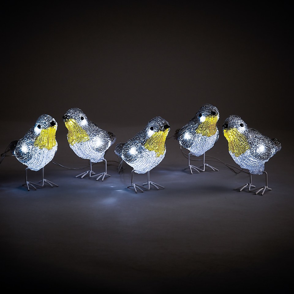 Acrylic LED Robins Outdoor Christmas Decoration - Set of 5 (Battery Operated)
