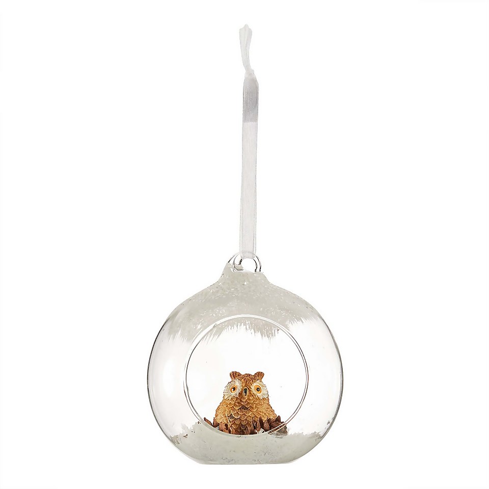 Open Front Owl Glass Christmas Tree Bauble