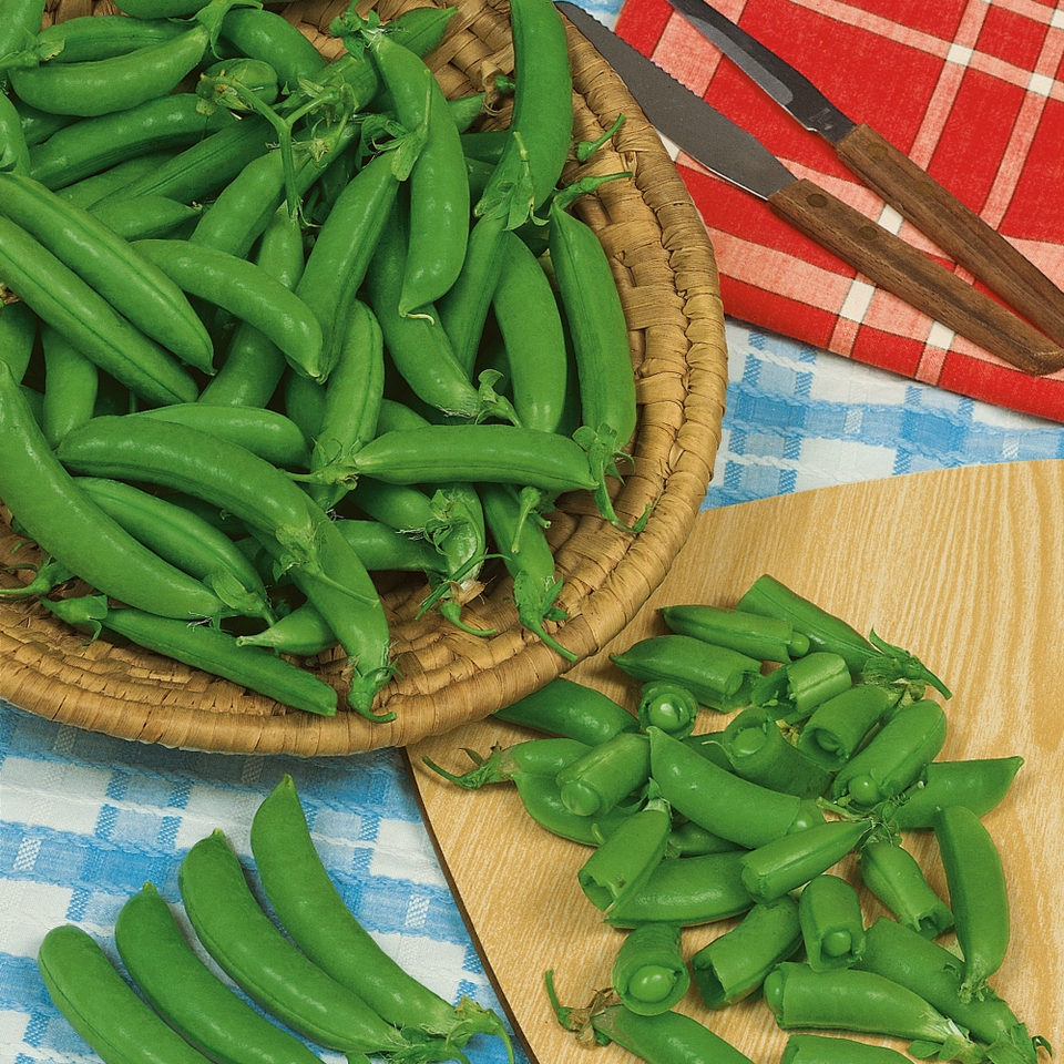 Vegetable Strip Peas Hurst Green Shaft