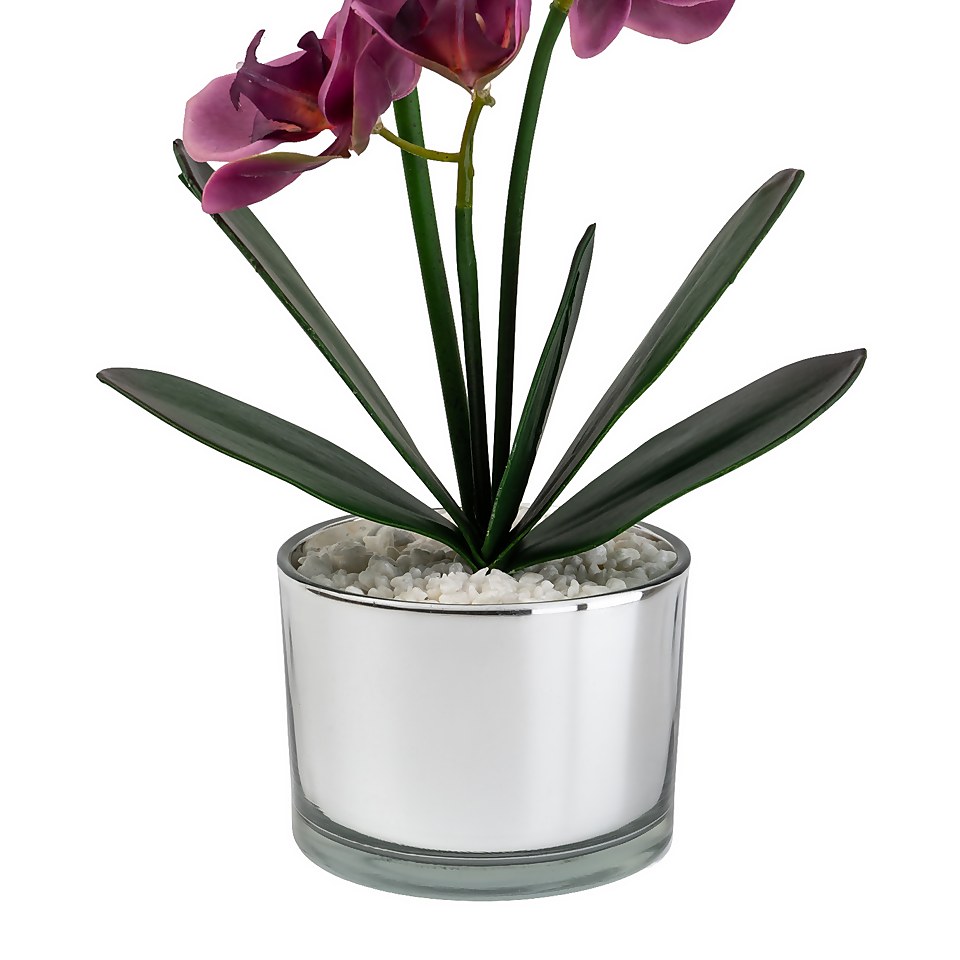 Orchid with Silver Glass Pot - Purple