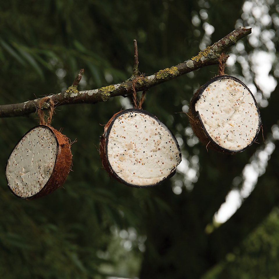 Peckish Natural Balance Coconut Shell for Wild Birds - Pack of 4