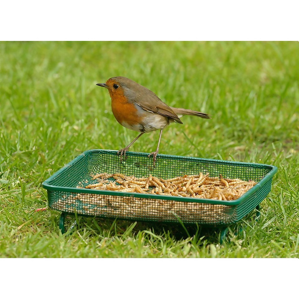 RSPB Mealworms for Wild Birds -100g