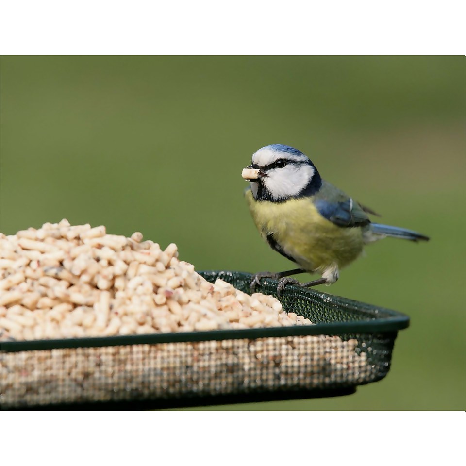 RSPB High Energy Suet Sprinkles for Wild Birds - 3kg