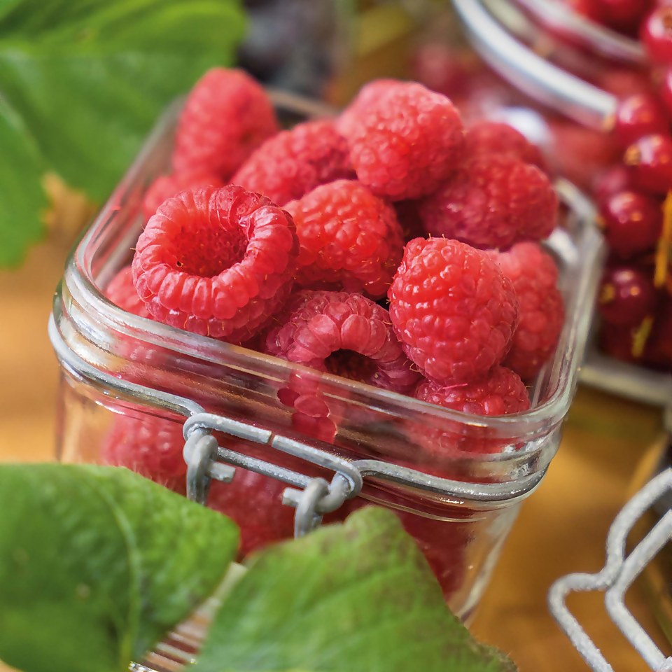 Soft Fruit Raspberry mix - 2L
