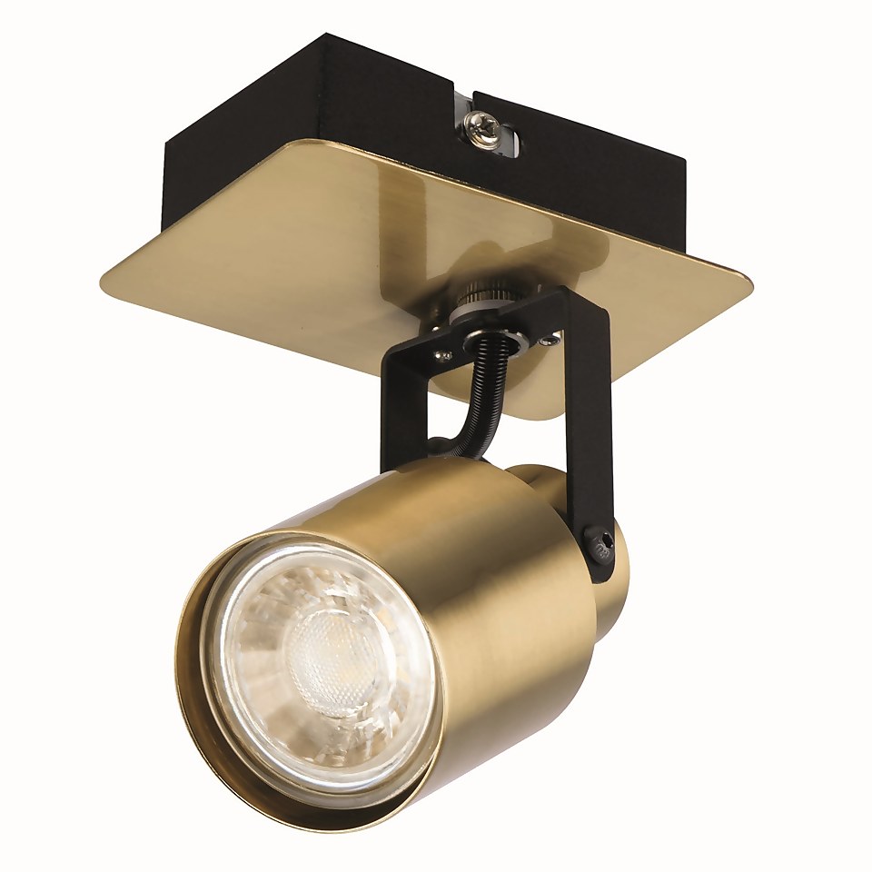 Lucy Single Lamp Spotlight - Gold & Black