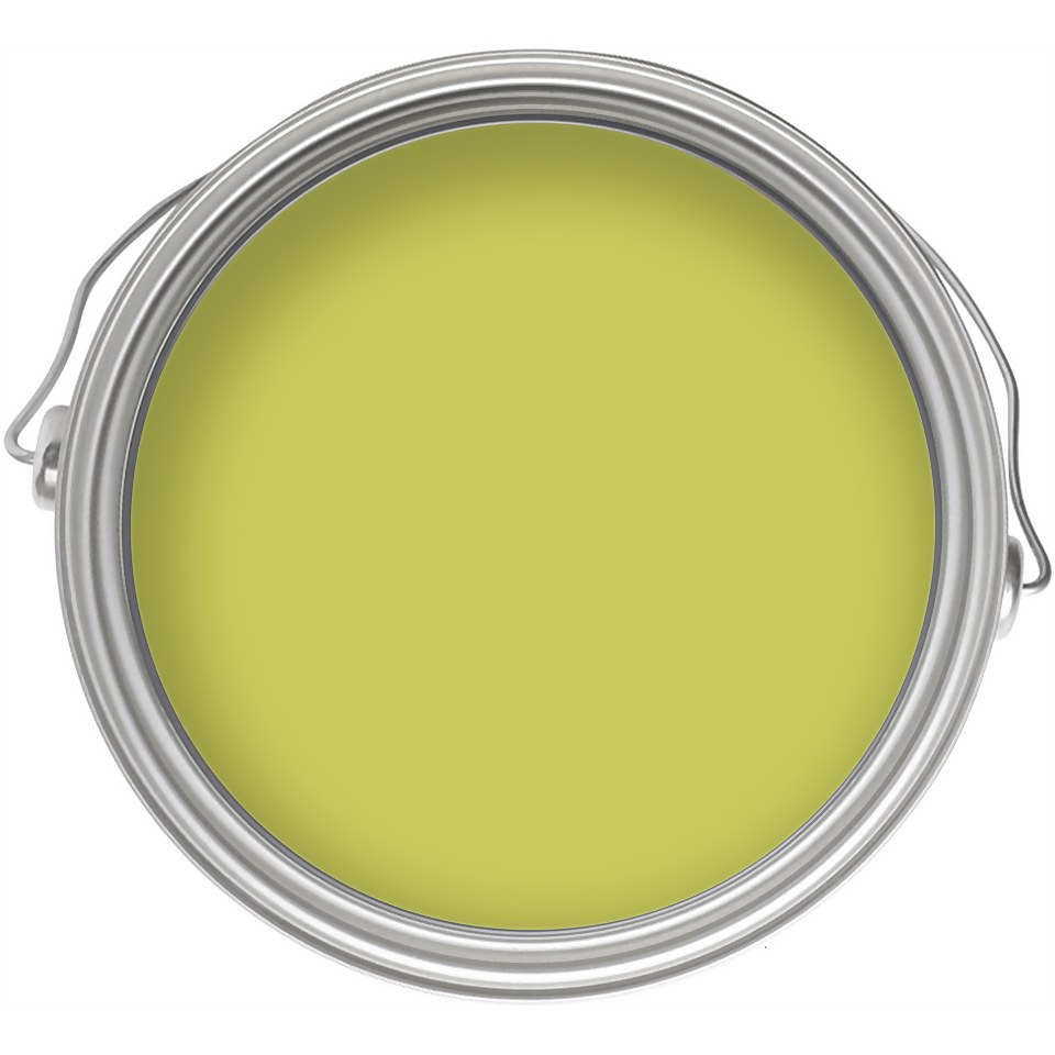 Dulux Feature Wall Luscious Lime Tester Paint - 30ml