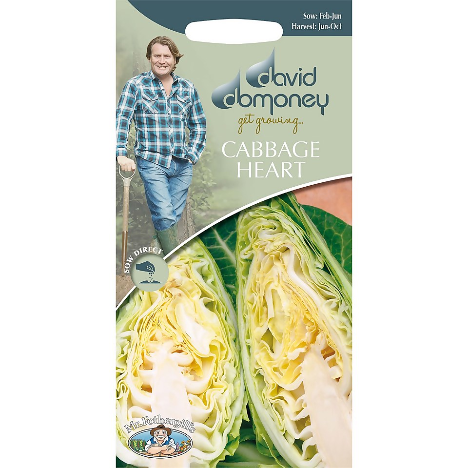 David Domoney Cabbage Heart Seeds