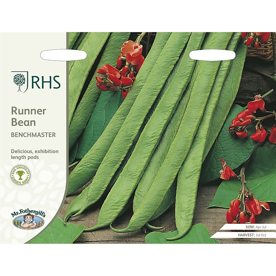 RHS Runner Bean Benchmaster Seeds