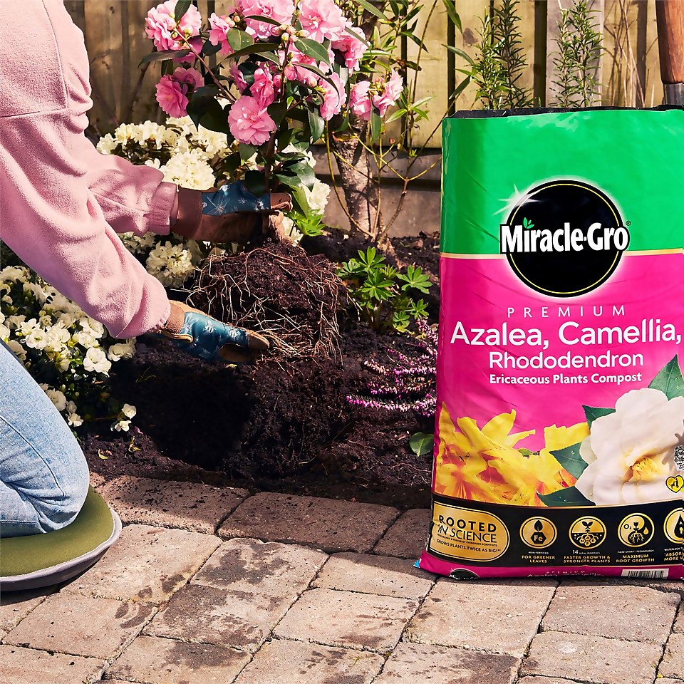 Miracle Gro Premium  Azalea, Camellia & Rhododendron Ericaceous Compost - 40L