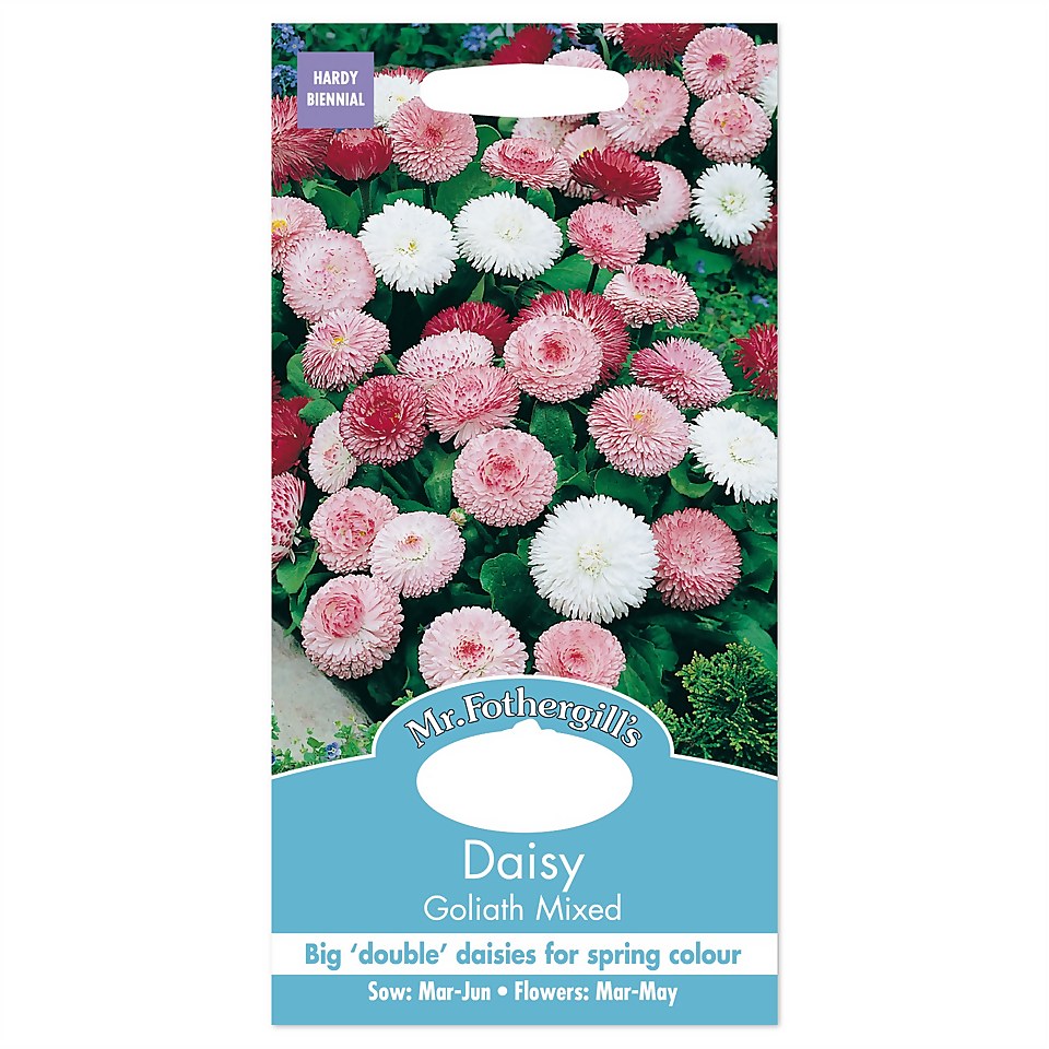 Mr. Fothergill's Daisy Goliath Mixed Seeds