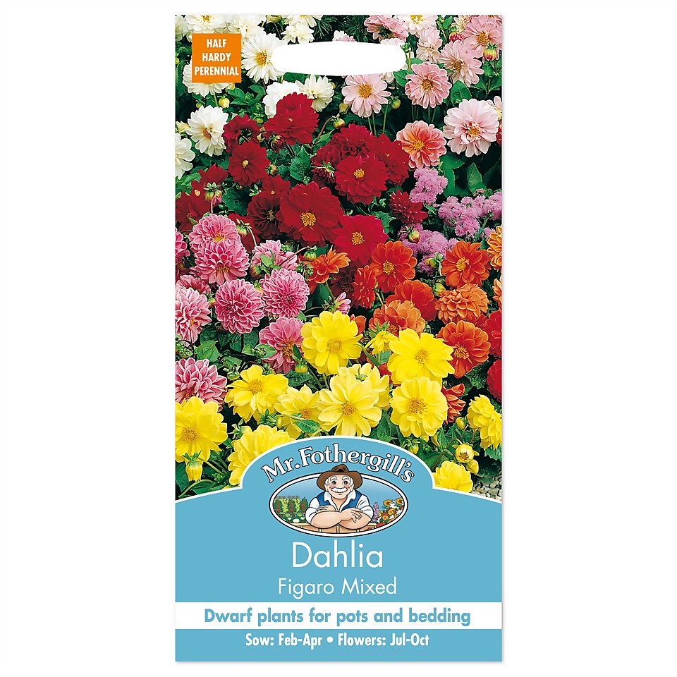 Mr. Fothergill's Dahlia Figaro Mixed Seeds