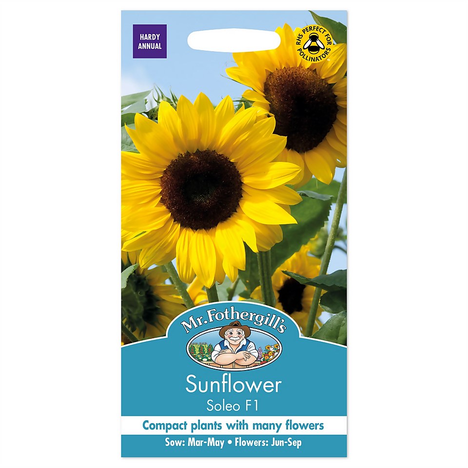 Mr. Fothergill's Sunflower Soleo F1 Seeds