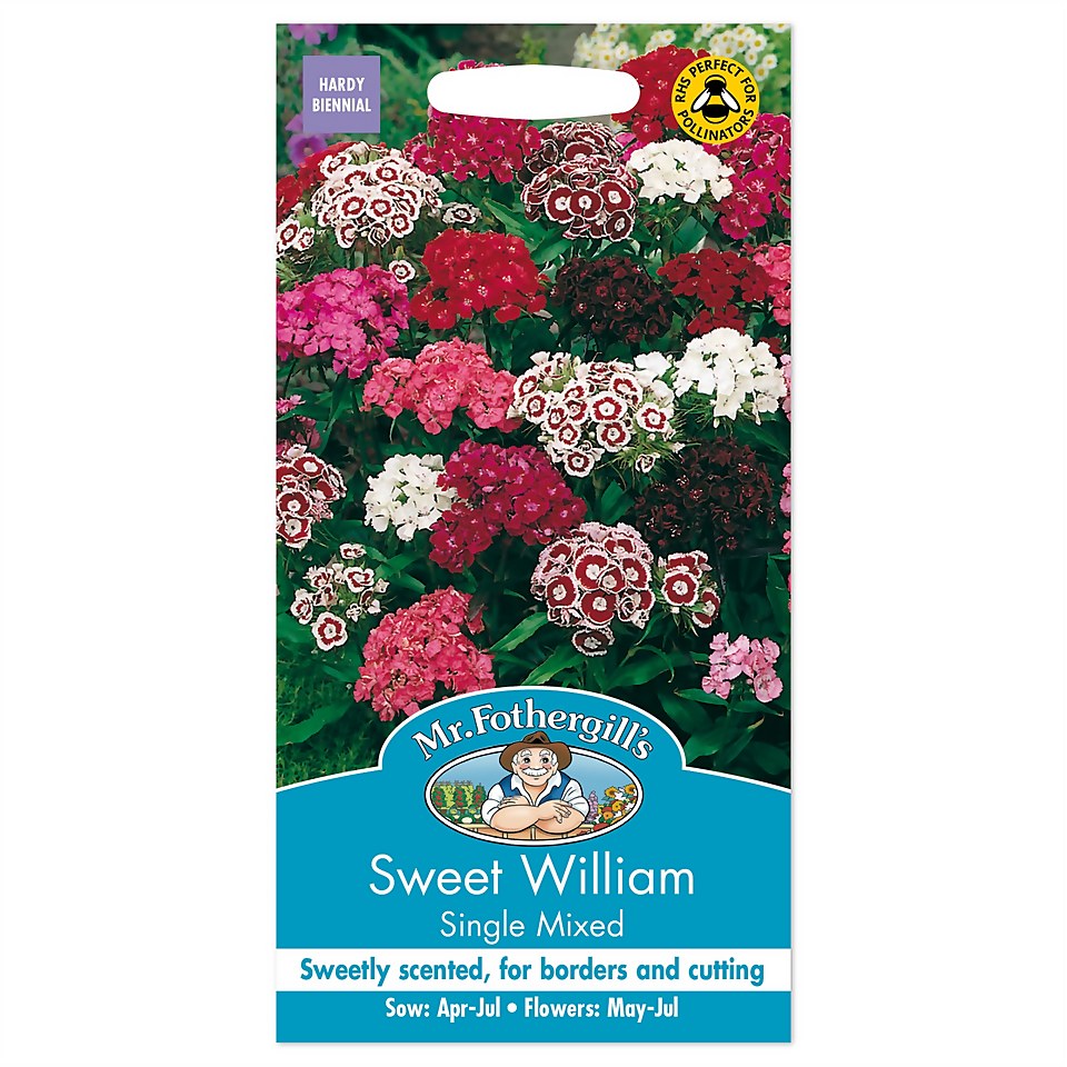 Mr. Fothergill's Sweet William Single Mixed Seeds