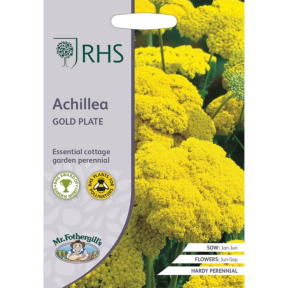 RHS Achillea Gold Plate