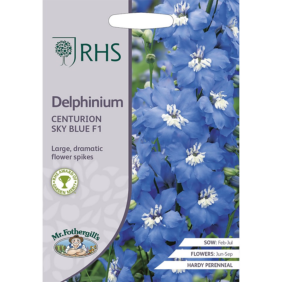 RHS Delphinium Centurion Sky Blue F1