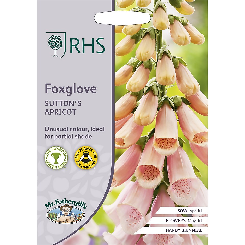 RHS Foxglove Suttons Apricot