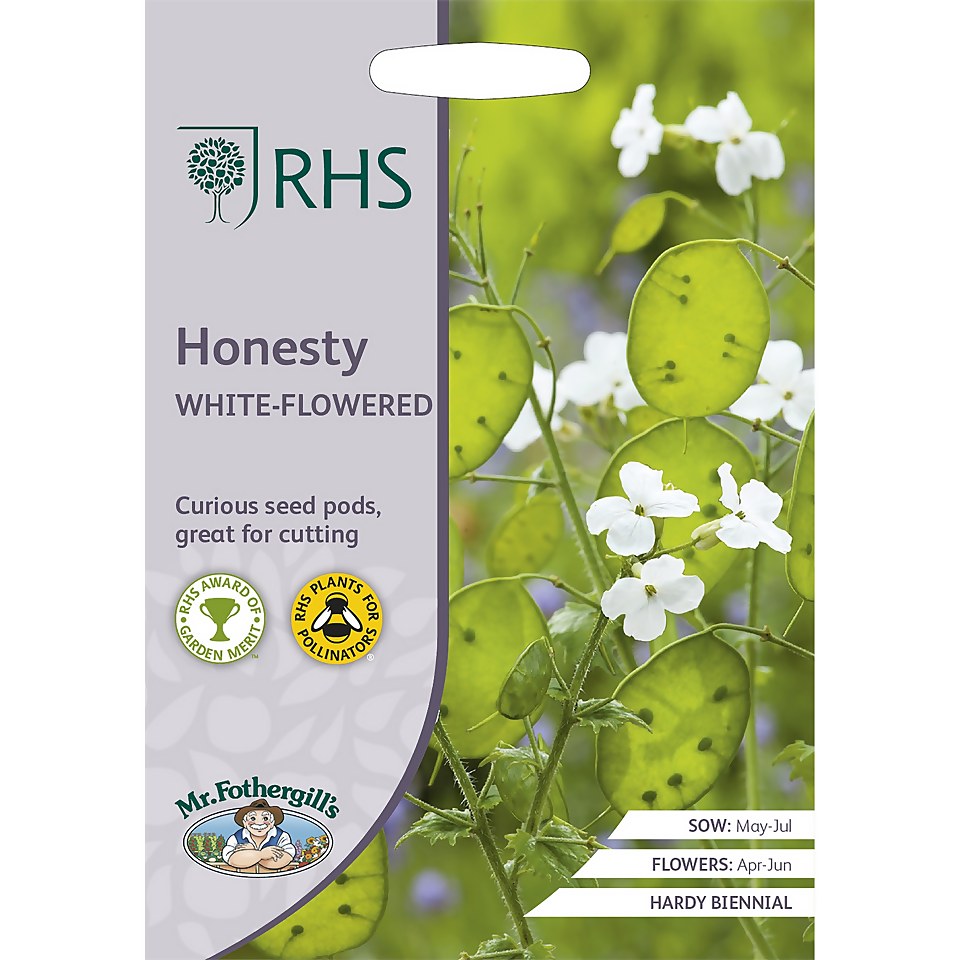 RHS Honesty White-Flowered