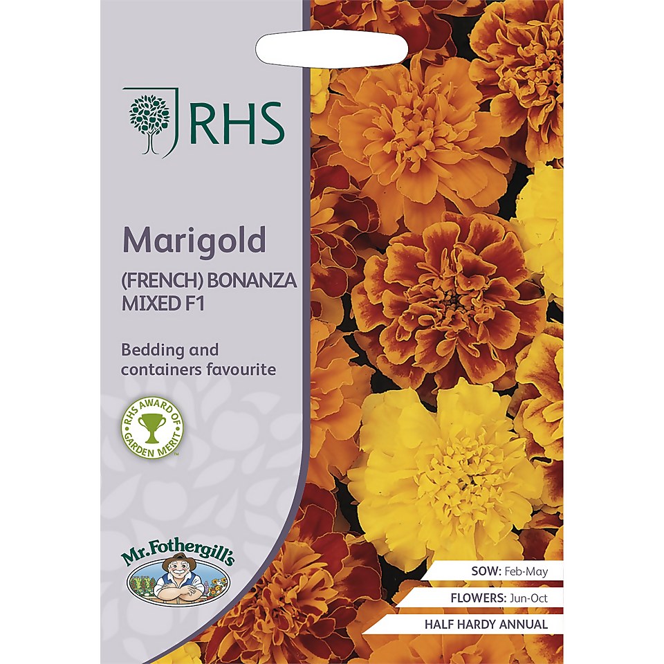 RHS Marigold (French) Bonanza series