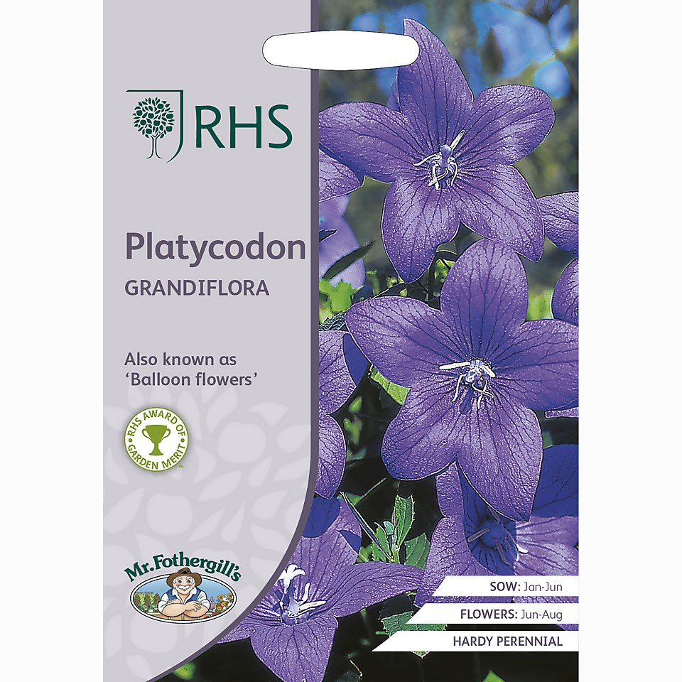 RHS Platycodon Grandiflora