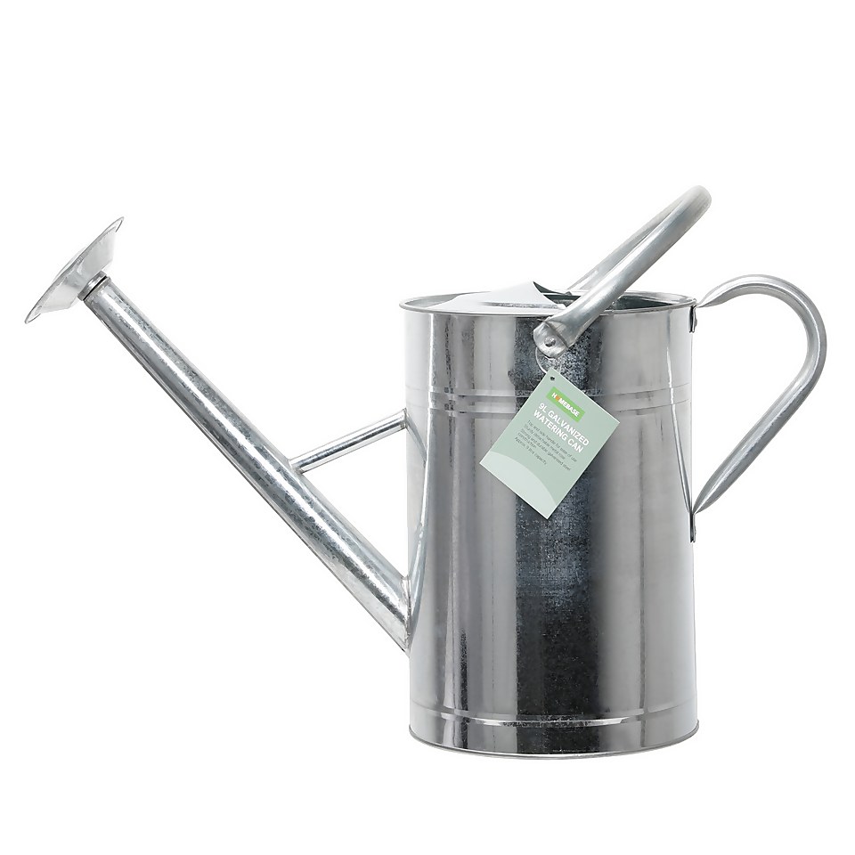 Homebase Galvanized Watering Can - 9L