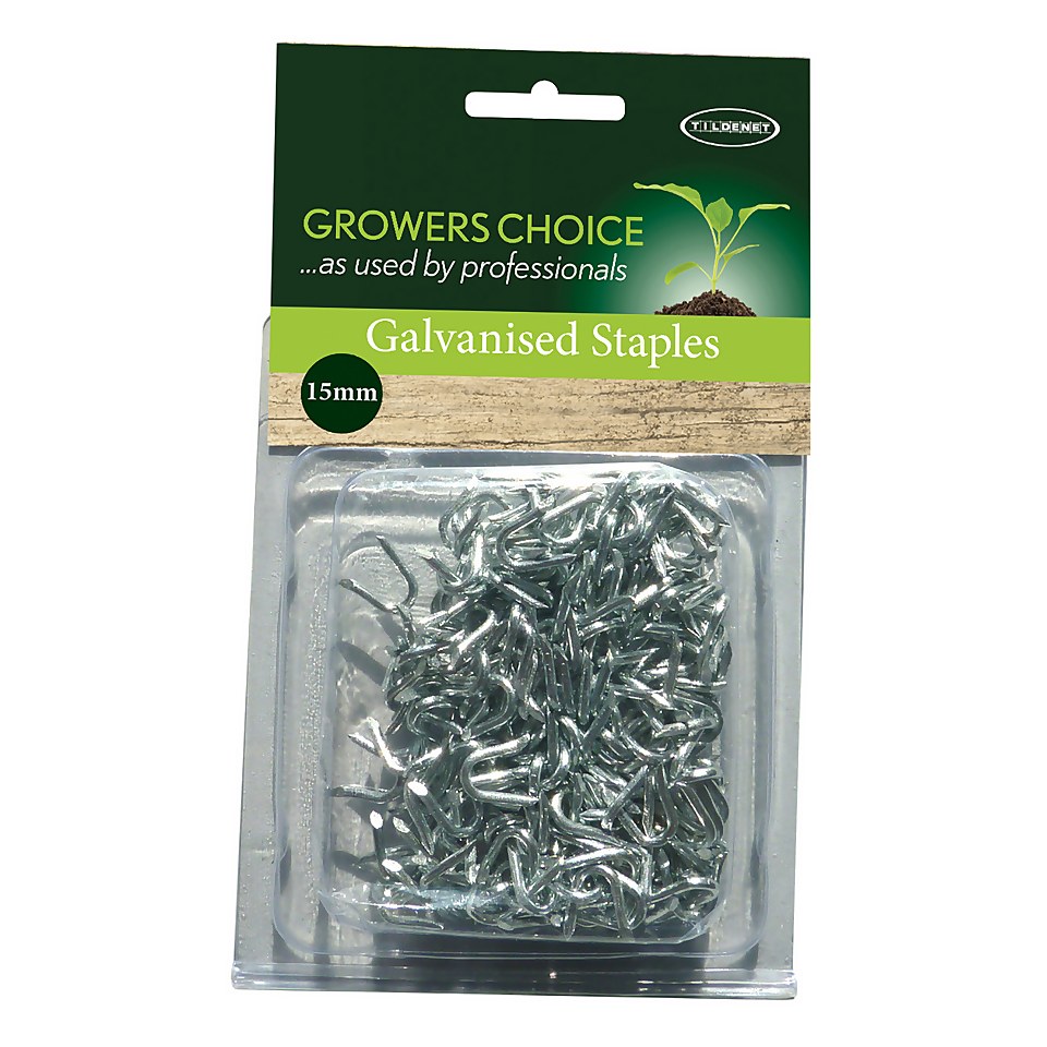 15mm Galvanised Staples - 50 Pack