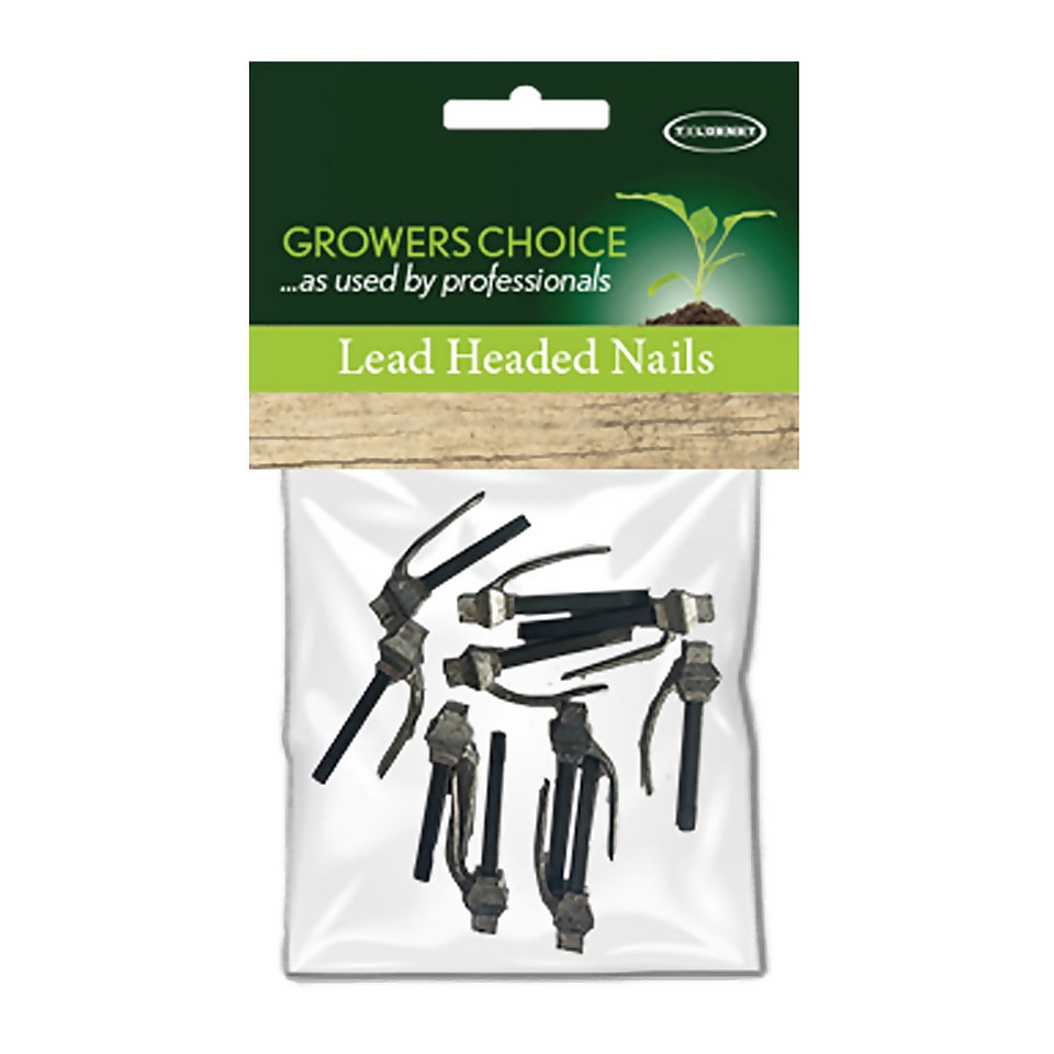 Lead Headed Nails Pack 10
