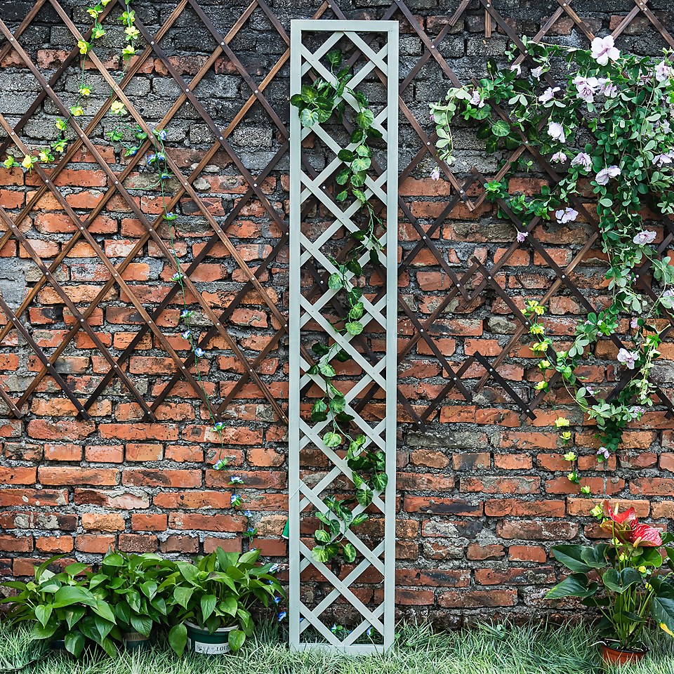 Homebase trellis discount