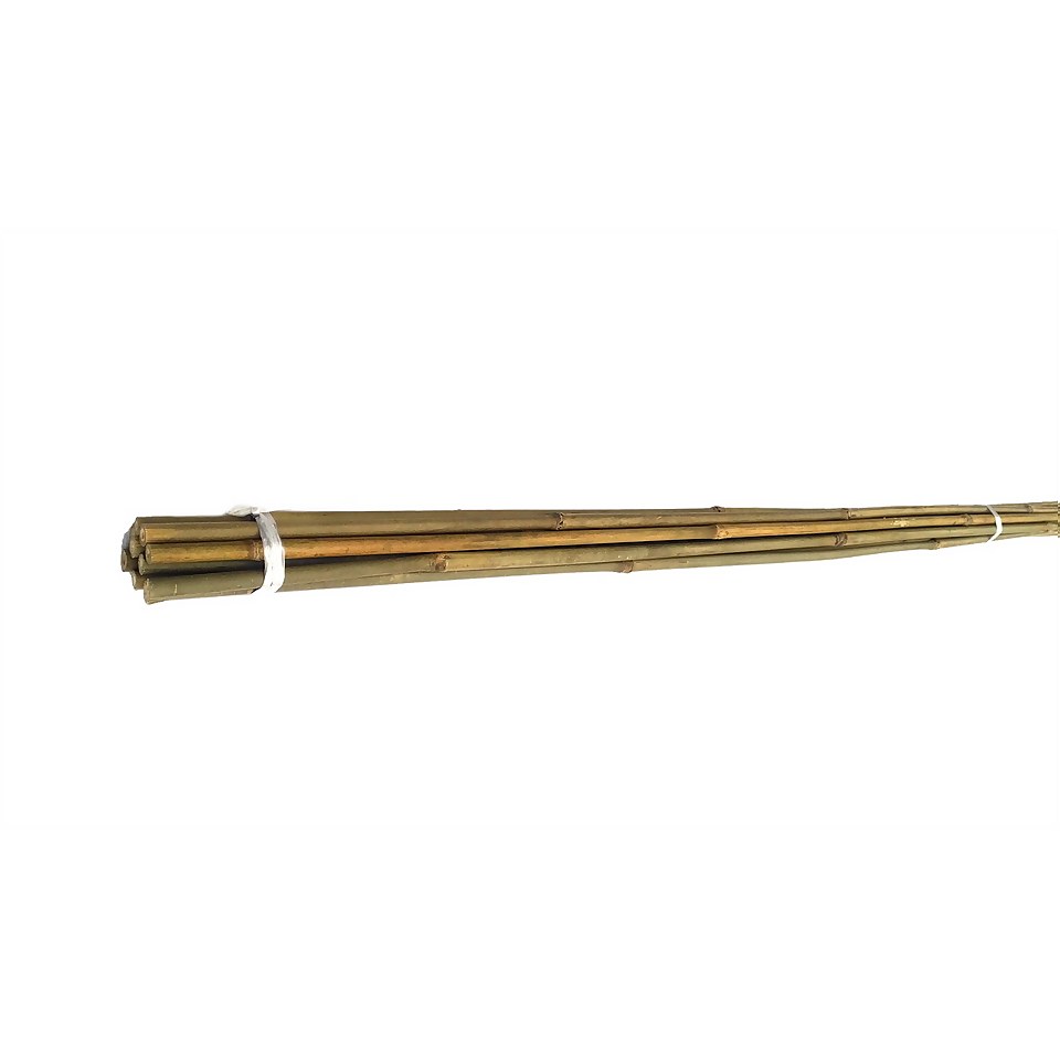 10 Pack Bamboo Canes - 2.1m/7ft