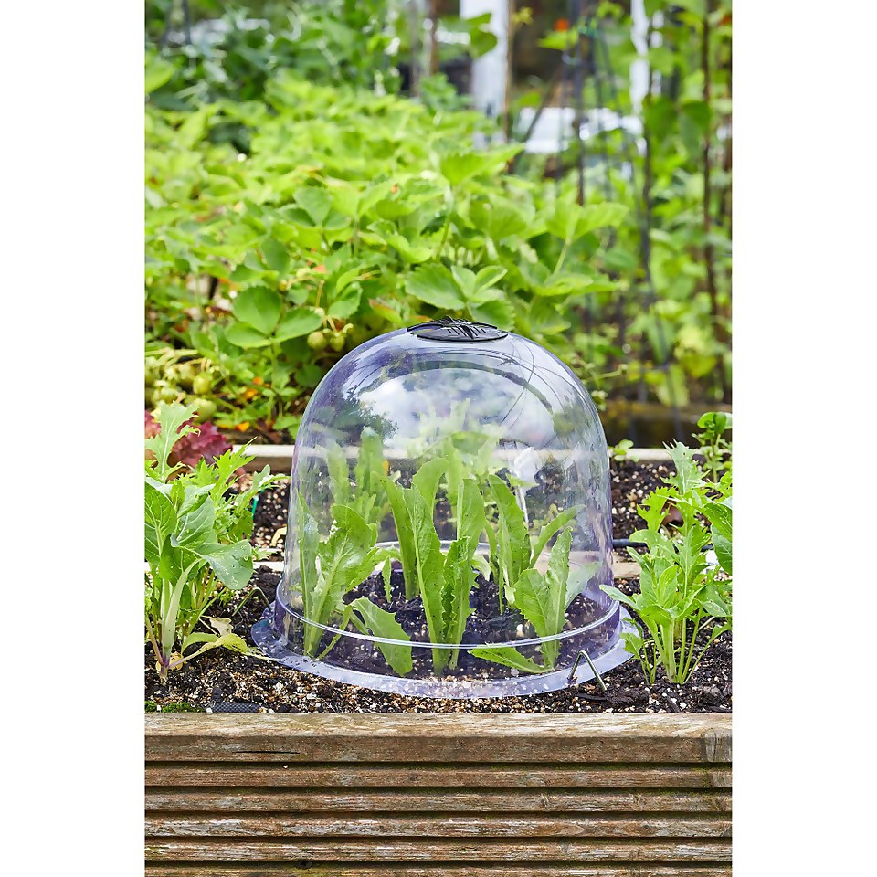 Smart Garden Bell Cloche - 20 x 26cm