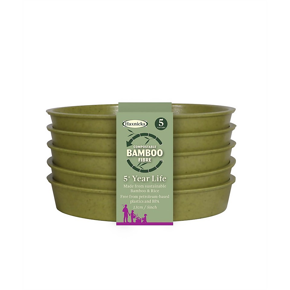 5in Bamboo Saucer - Sage Green (5 Pack)