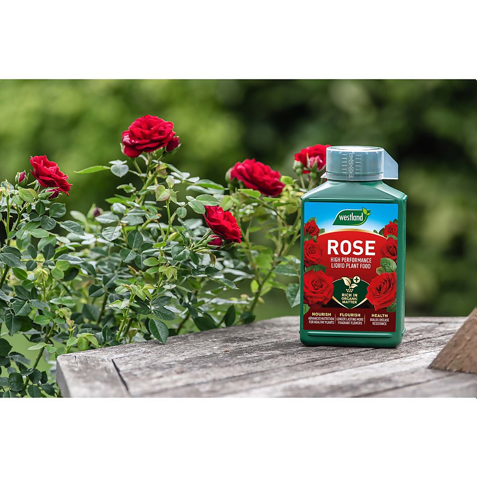 Westland Rose Specialist Liquid Plant Food Concentrate - 1L