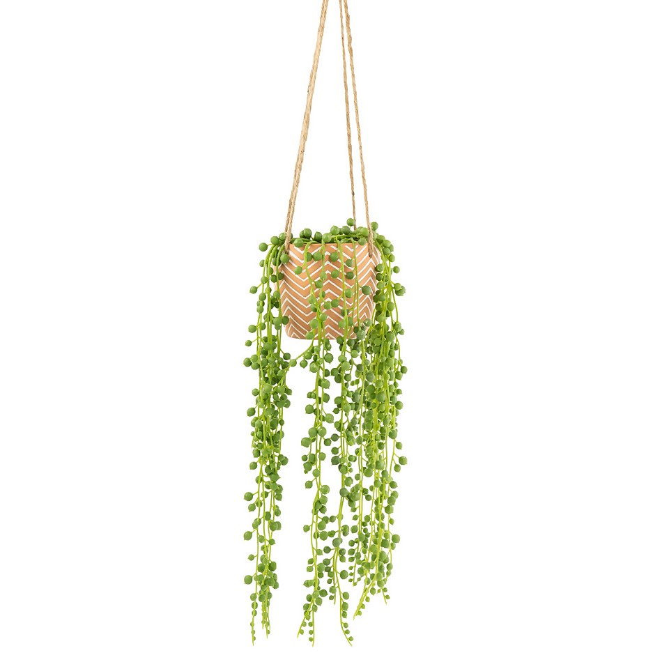 String of Pearls Plant in Red Cement Pot