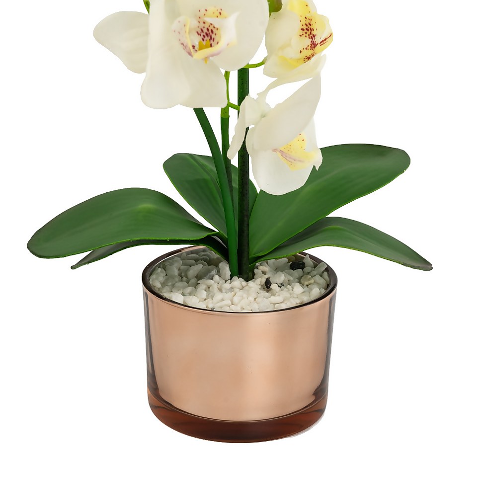 Large Real Touch Orchid