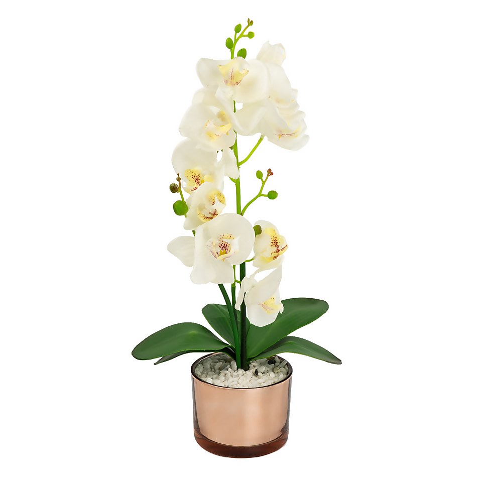 Large Real Touch Orchid