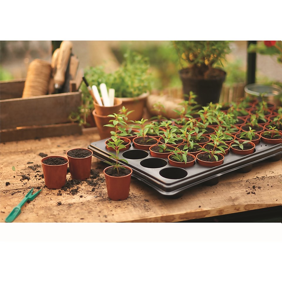 Half Seed and Cutting Tray 20 Pot