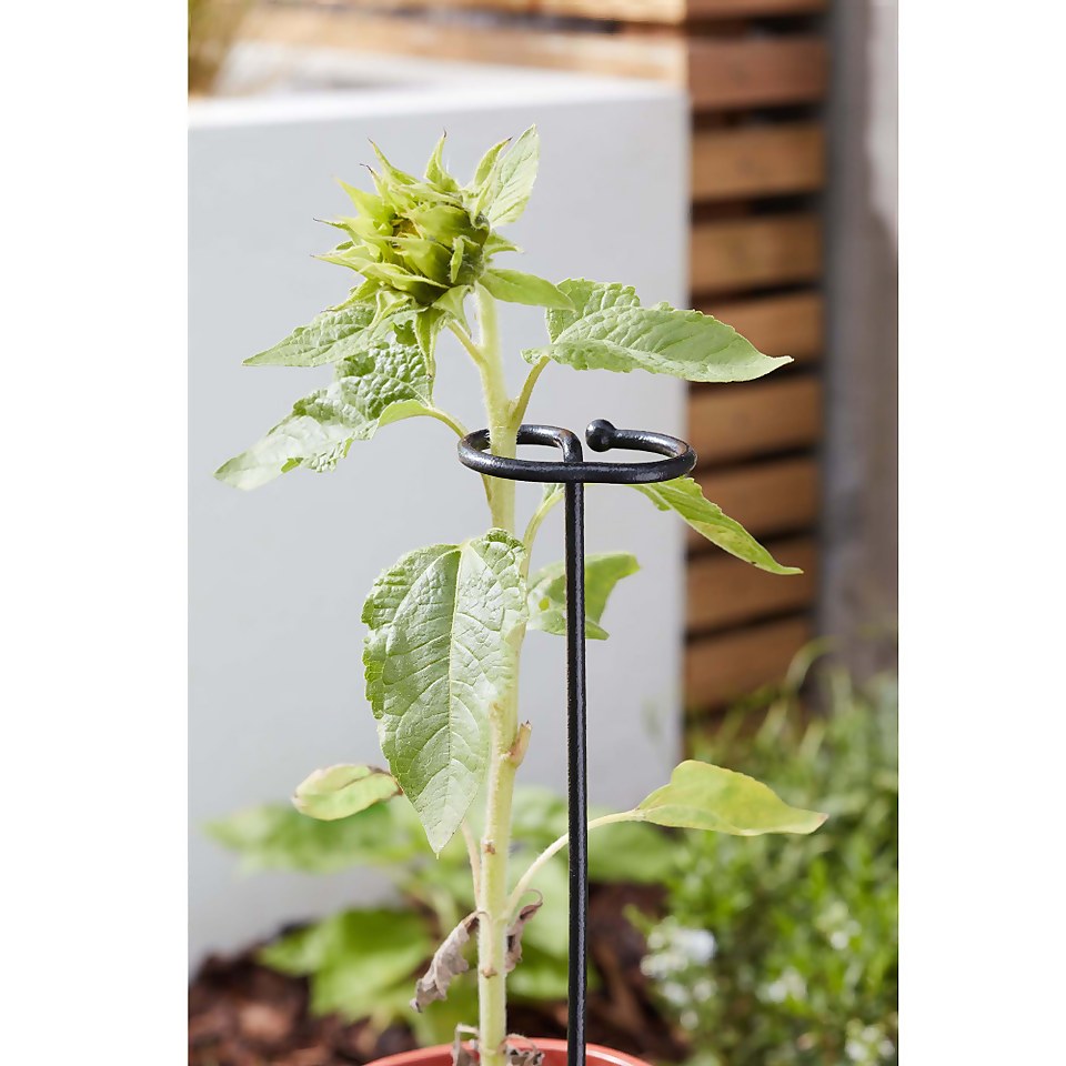 Smart Garden Gro-Stems 3pk 75cm