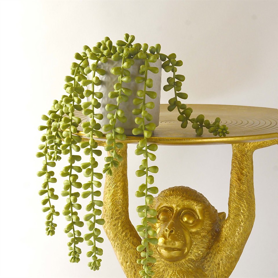 House Beautiful String of Pearls in Ceramic Pot