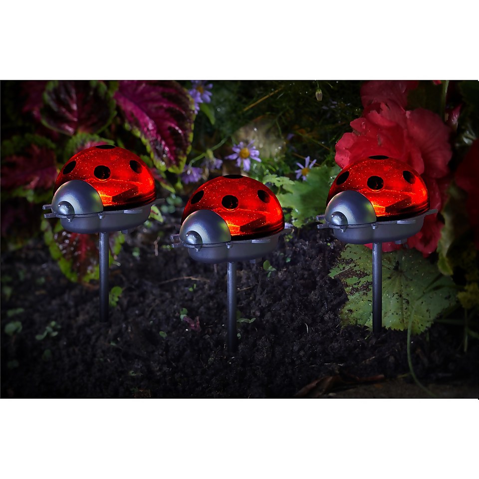 Smart Solar Décor Stakelights - Ladybirds